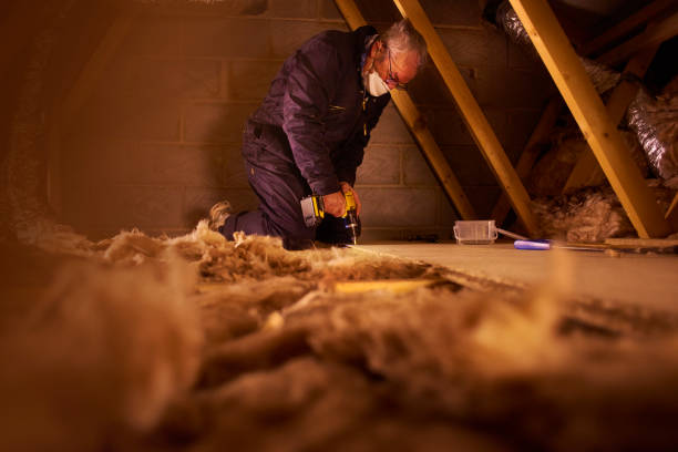 Best Energy Efficiency Solutions in Baton Rouge, LA